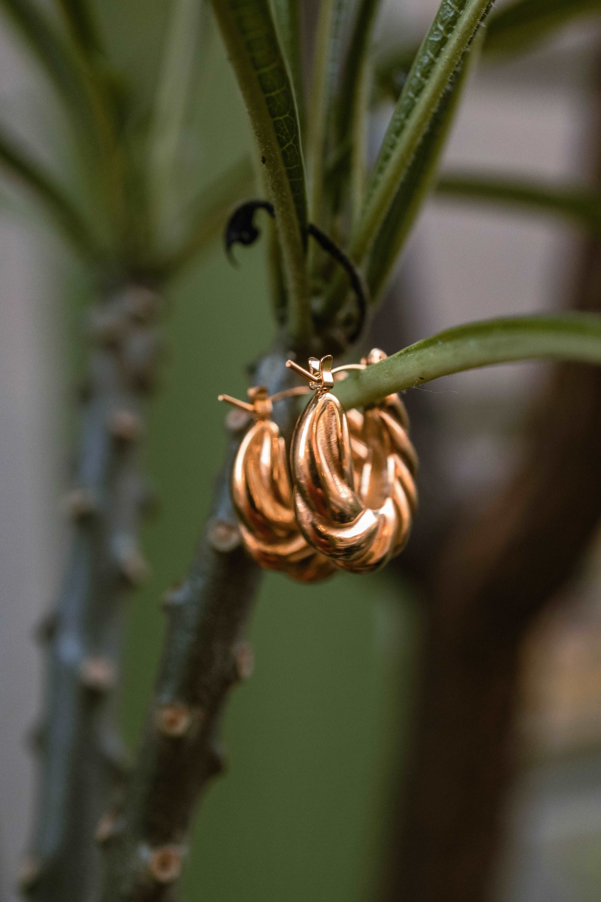 Croissant Gold Earrings